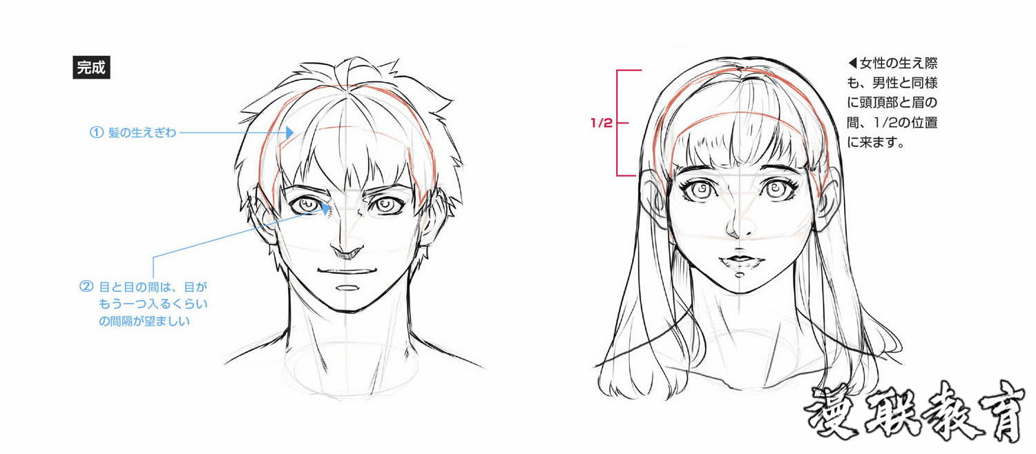 动漫人物脸部绘制基础(上)|脸部|轮廓|辅助线_新浪新闻