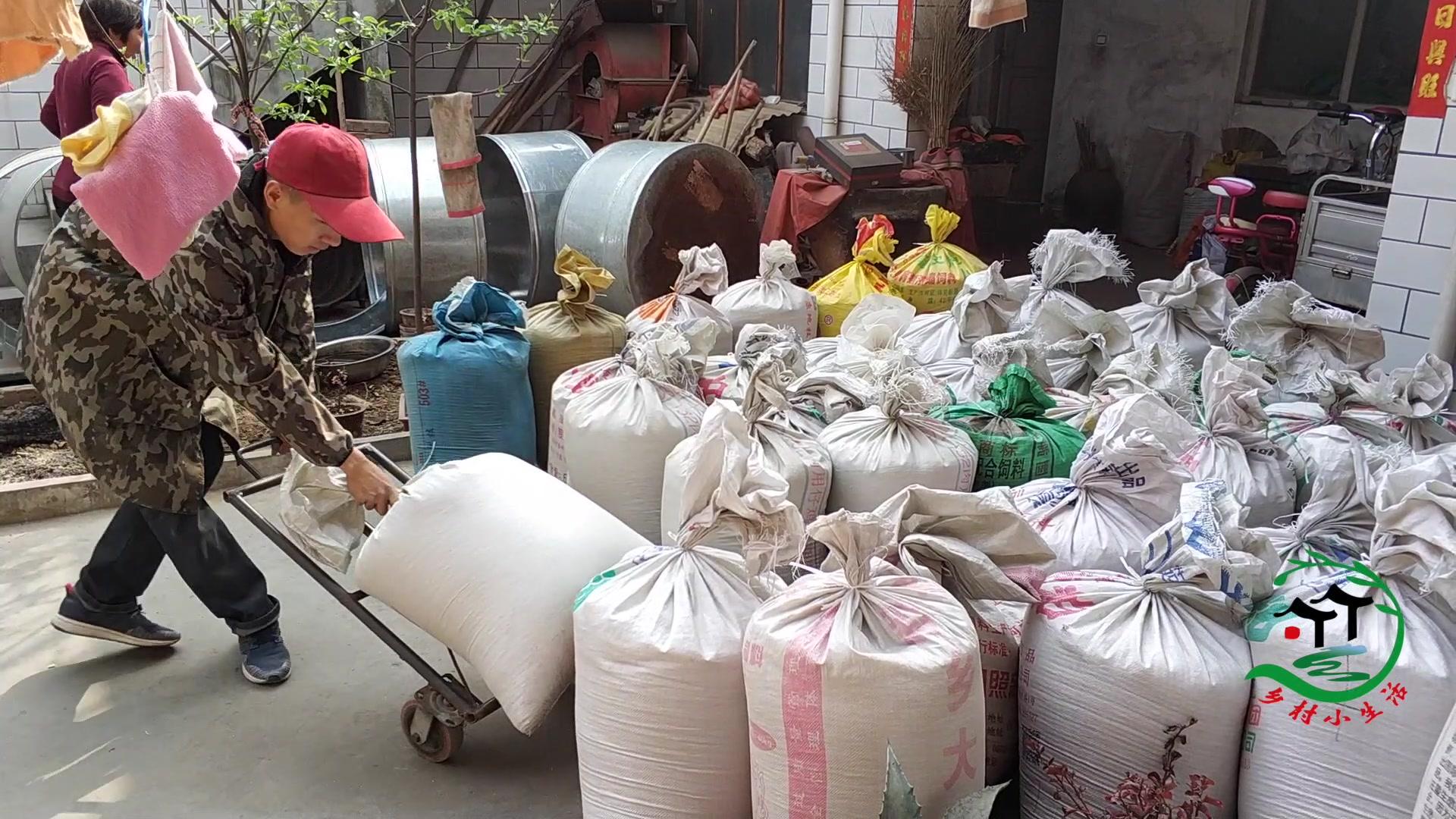 现在的农村,村民越来越不爱存放粮食了,这是啥原因呢?答案来了