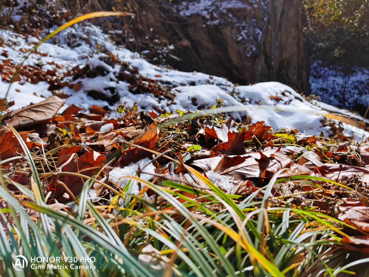 荣耀V30 PRO真5G体验!超快网速背后还有电影镜头的魅力!