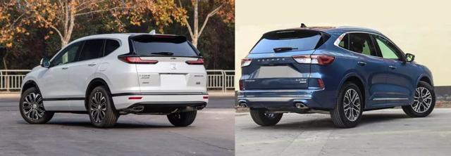 皓影对比锐际，两者凭何实力成为市场新秀？