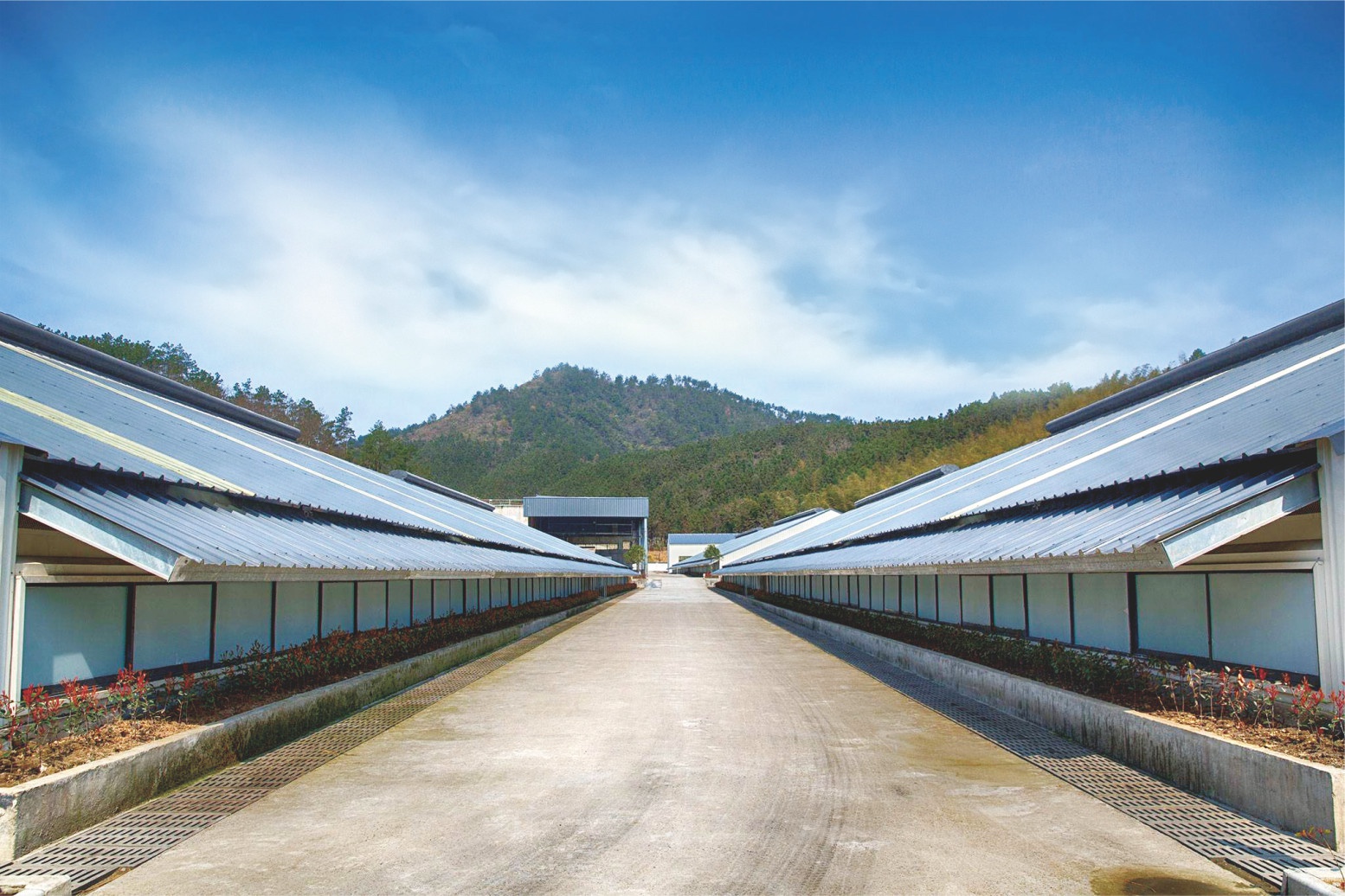 特别是网易味央在江西高安的新猪场,占地面积达到了3300亩,新增了环保