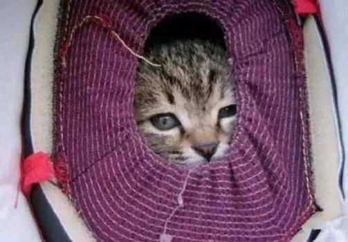 远看1辆电动车有点奇怪,手套里有2只眼睛,拉近镜头后鼻头发酸