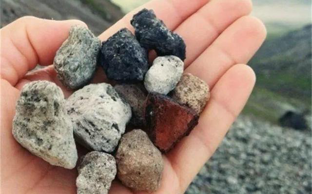 王大爷路边捡点"小石块"养的花再也不烂根,根又粗又壮撑爆盆