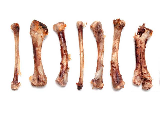 比如啃骨头导致崩牙呀)咬碎后断面尖锐的骨头,例如腿骨可能会刺伤狗狗