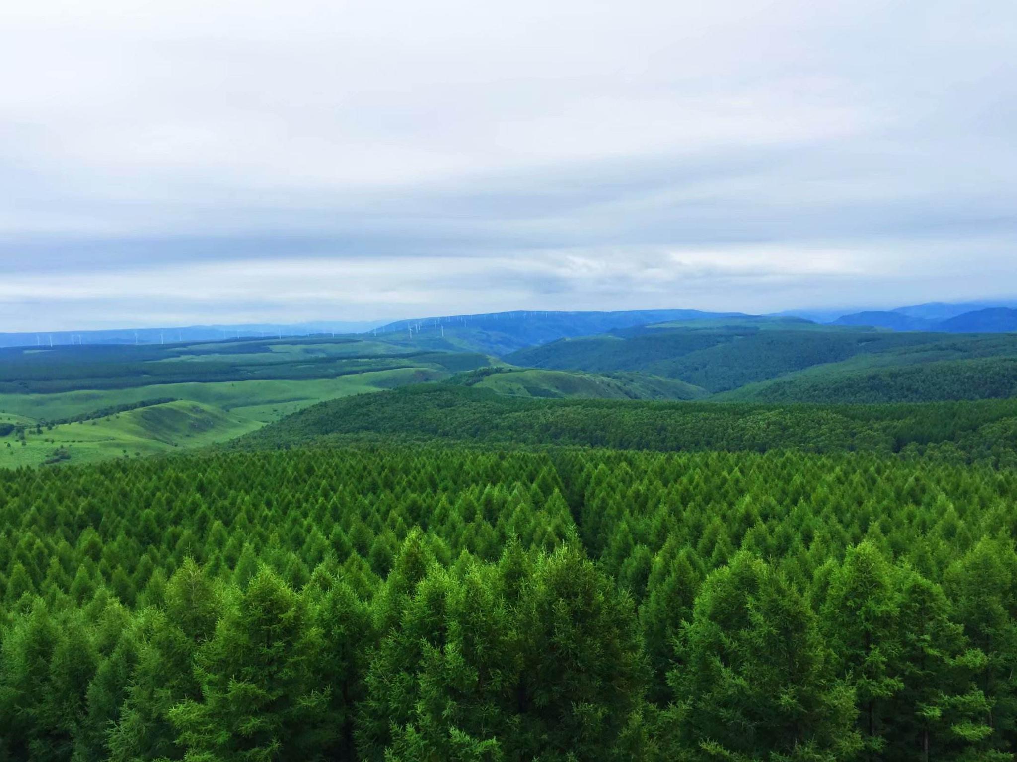 华北以北突然出现白色血管nasa卫星对准分析这是好事