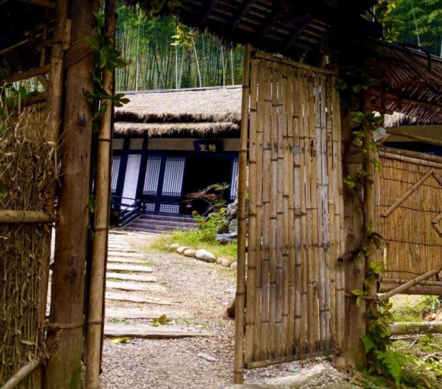 陈情令后师姐宣璐重回蓝忘机静室随口一句经典台词回忆杀