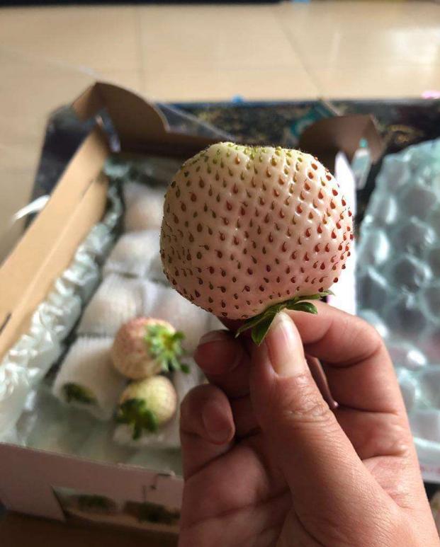 男孩捏坏超市白色草莓,宝妈的话让人无语,售货员:128一斤赔吧