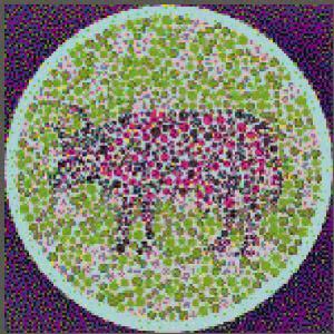 而且中间部分就是一个紫色和红色组成的牛,这一张色盲测试图还是比较