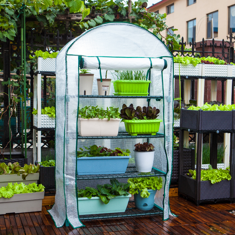 花卉怕冷怎么办,自制花卉小暖棚,别让你的花冻死在冬天!