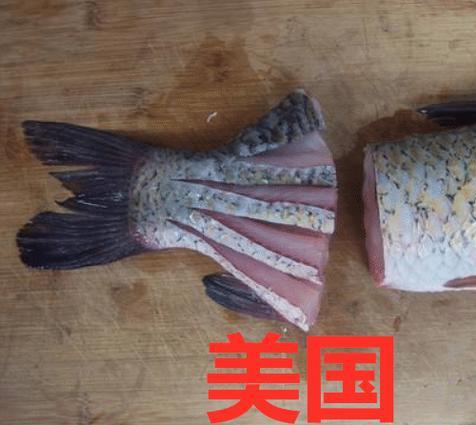 美国切扇形鱼,日本切薄片鱼,韩国切菊花鱼,看完中国:打扰了|_新浪新闻