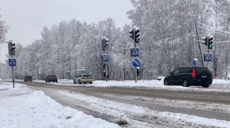 中国人为什么拿了驾照还不会开车？