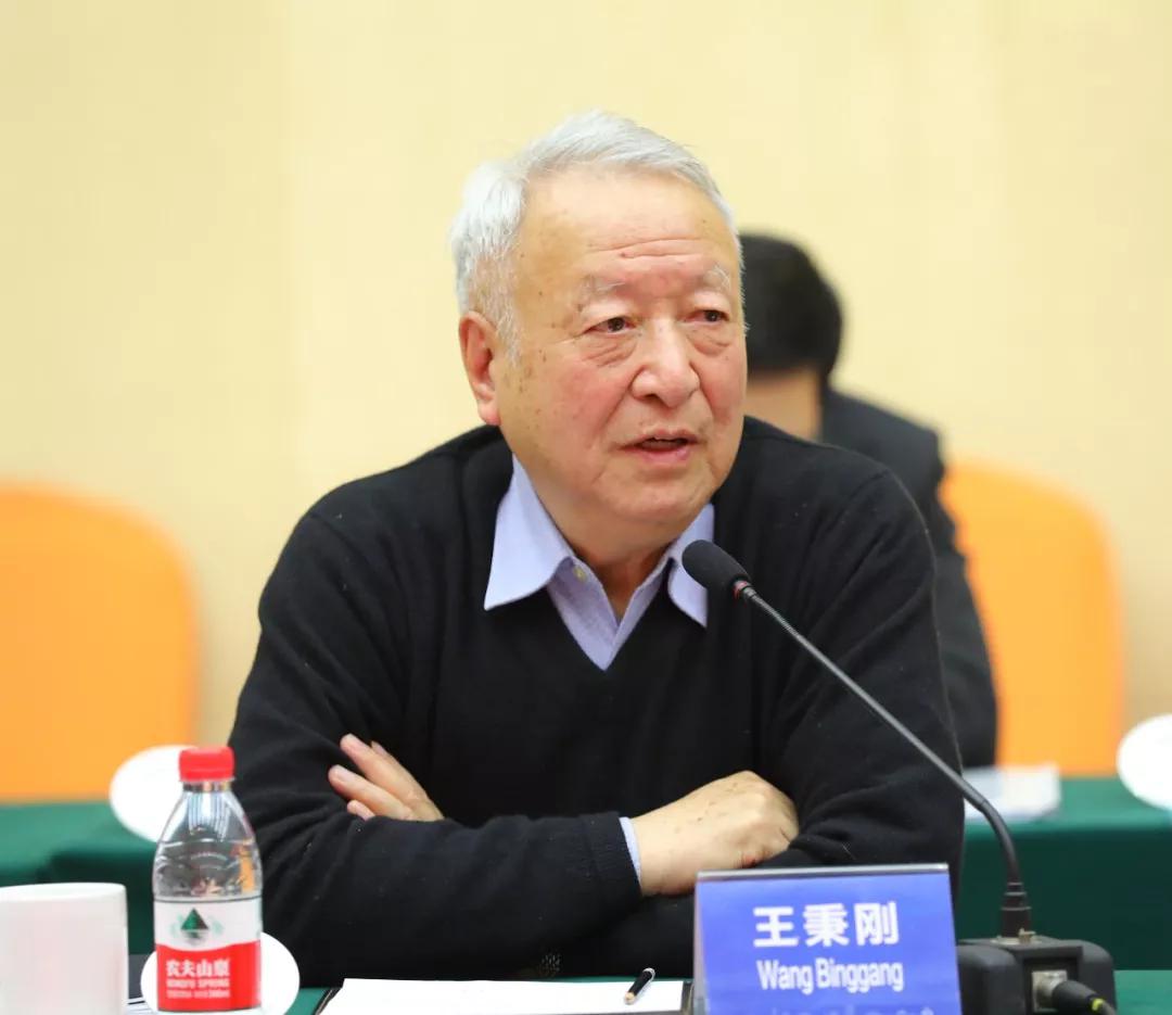 观点 | 王秉刚:未来中国汽车大体是纯电动跟燃油车平分天下-新浪汽车