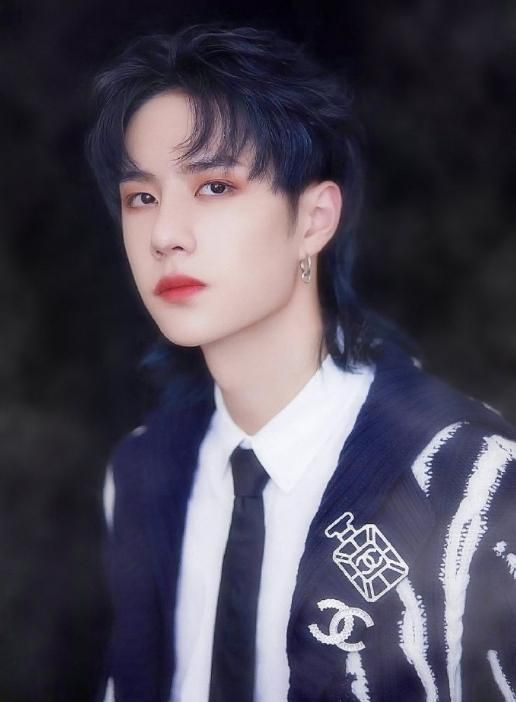 鲻鱼头发型,肖战王一博同款,还有哪个男星安排过?快来看看!