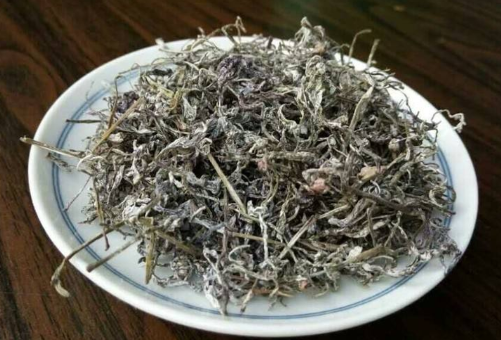 农村大哥上山找野生茶叶人称藤茶晒干泡水喝味道先苦后甜