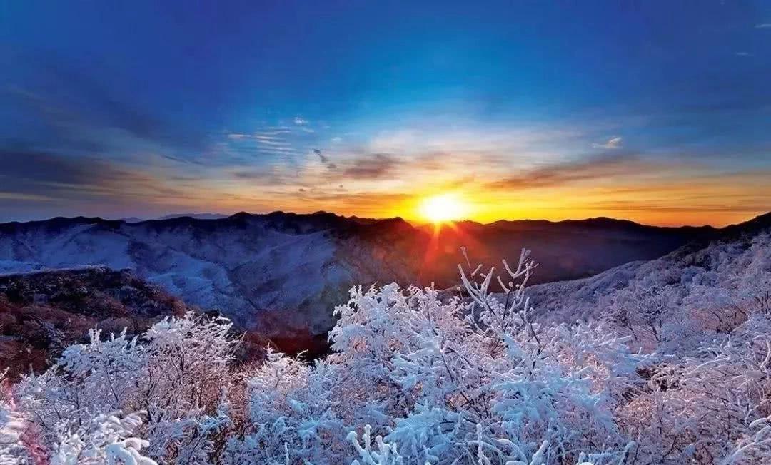 的"礼物"是冬季绝美的风景冬天的光雾山放眼望去望不到边际的森林呈