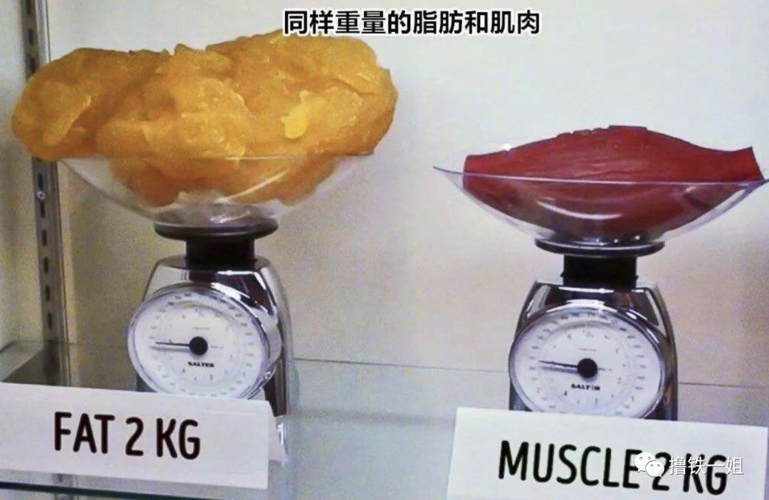 240斤胖子解剖纪实,不到生命最后一秒,你不知道脂肪能有多致命|脂肪|脂肪肝|肾脏_新浪新闻