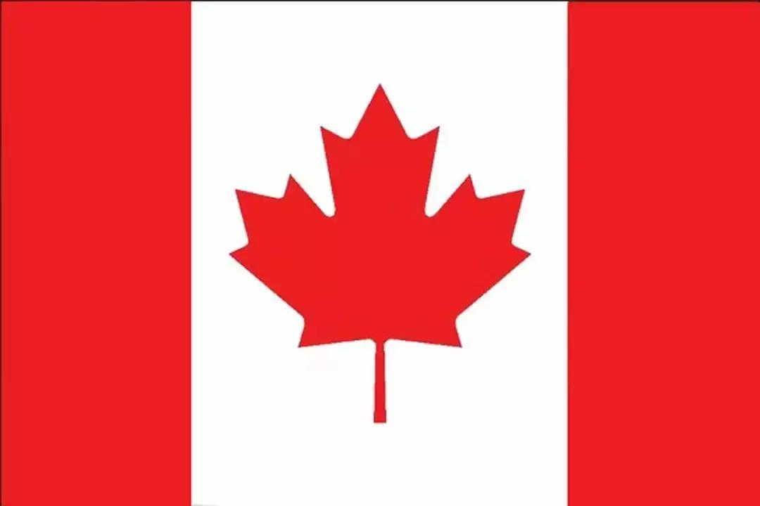 一只轴对称的枫叶图案吸引了不知多少留学生慕名来到加拿大目的无非两