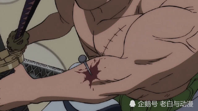 以上就是索隆与霍金斯战斗中所受到的伤害,索隆总共受伤五次.