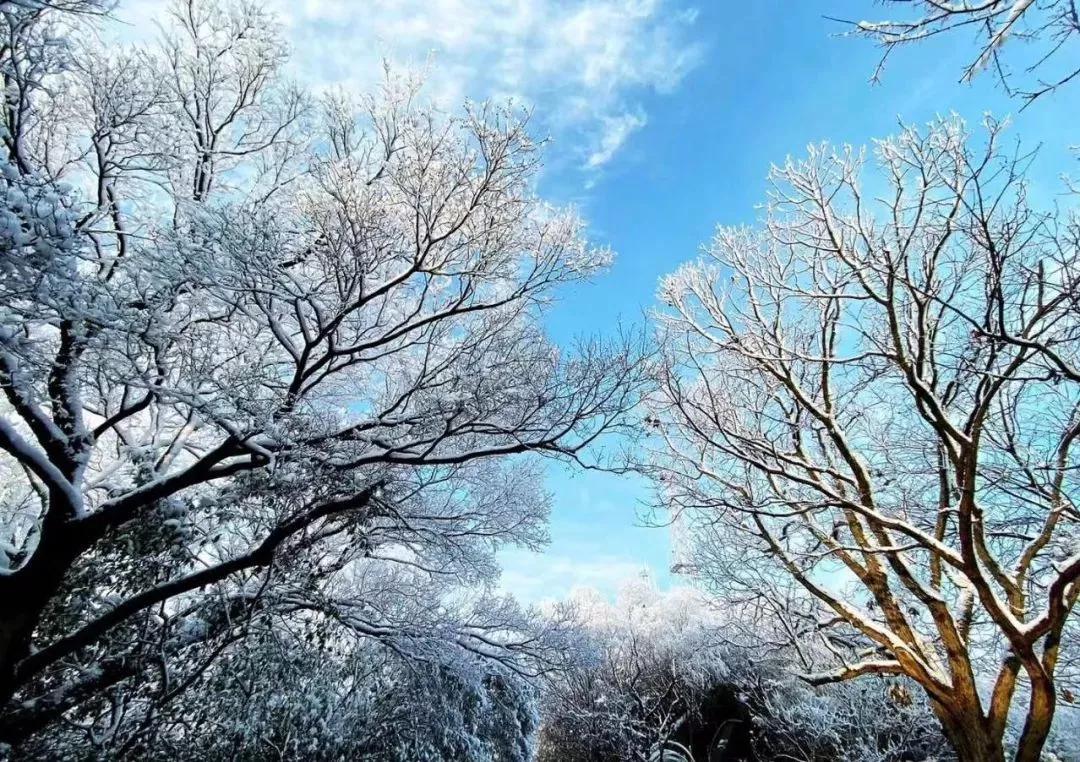 白头这大概就是冬天最美好的画面吧当我看到一片雪花落在你鼻尖只抿嘴