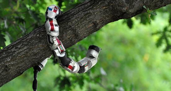 以色列蛇形机器人:爬树,穿越沟壑,钻山洞,适应各种复杂环境