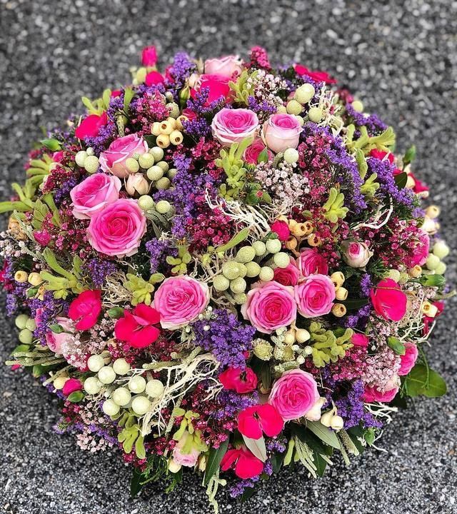 藤小伊月季一根枝条就能挂满几十朵花,四季开花__财经头条