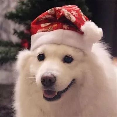 100张圣诞必备头像,你一定喜欢!