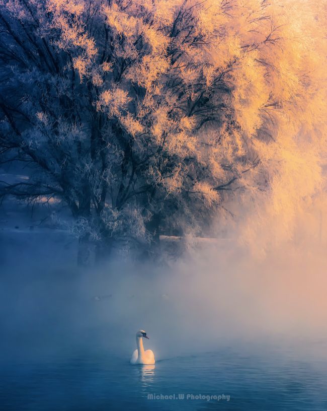这才是12月最美旅行地从安逸到圣洁从冬天美到春天第一个就心动了