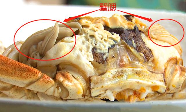 涨知识了|大闸蟹|螃蟹|部位_新浪新闻