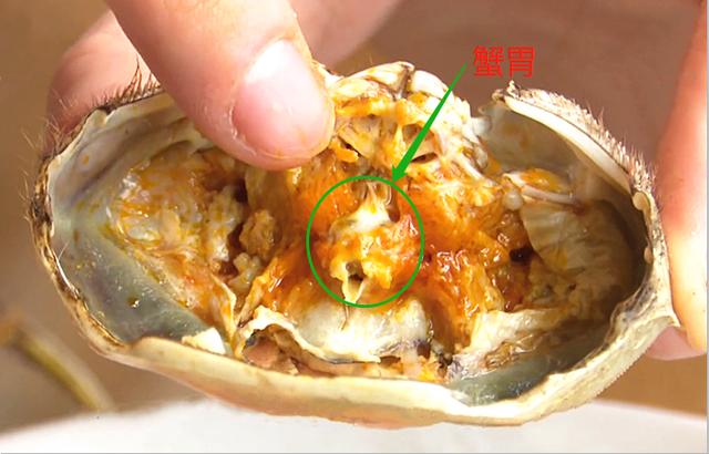 大闸蟹虽然好吃但是这4个部位不能吃你知道吗涨知识了