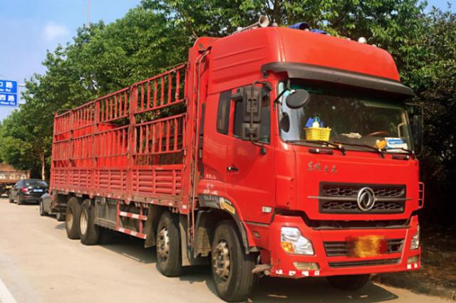 货车司机揭露真相