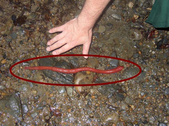 无端起鸡皮疙瘩害怕(鸡皮疙瘩察觉才是恐怖的开始) 无端起鸡皮疙瘩害怕(鸡皮疙瘩察觉才是恐怖的开始)