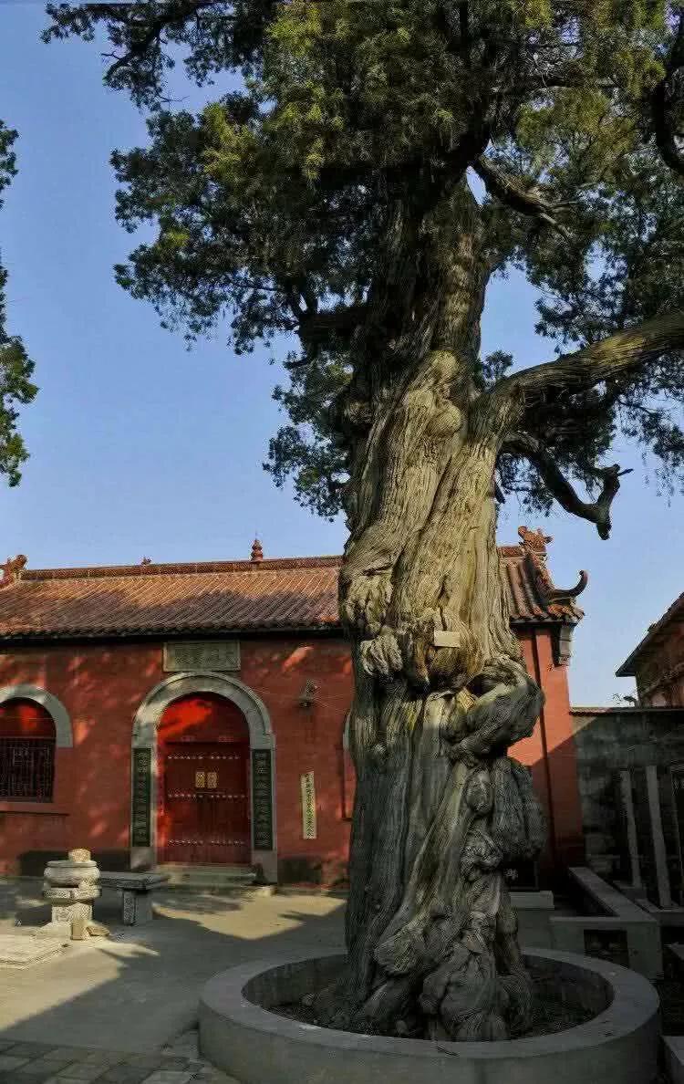 淄川穿越千年的古刹——华严寺