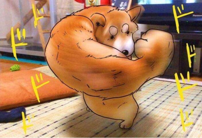 谁还记得那只漫画肌肉狗竟真有人把它做成游戏画面太魔性