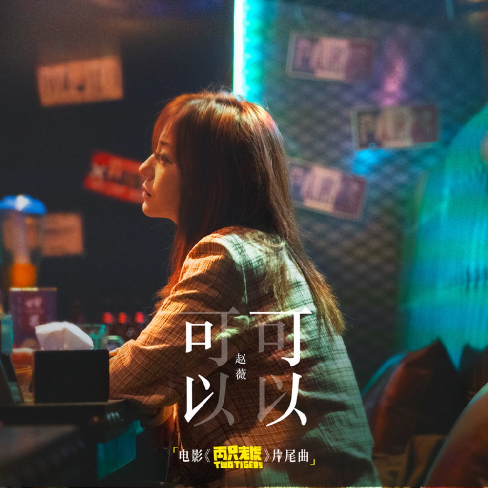 因为赵薇的歌看了电影《两只老虎》,荒诞的剧情,令人感动并深思