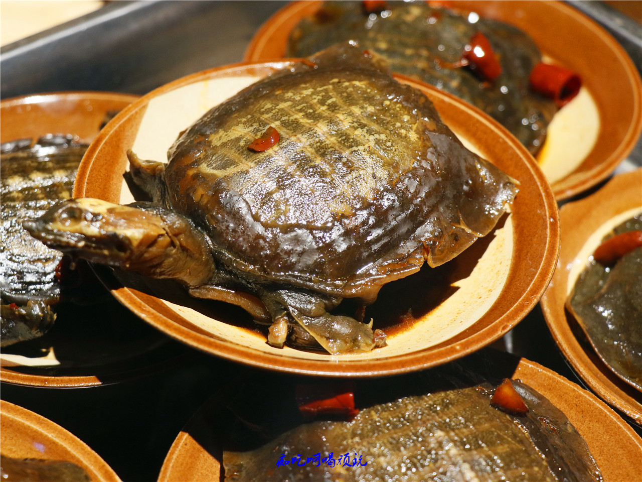 王八只能当配角,大吉大利吃鸡才是正道,这餐厅可以承包你的宵夜