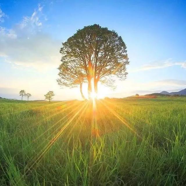 爱是一束光,照亮我们的生命|生命|光芒|心灵_新浪新闻