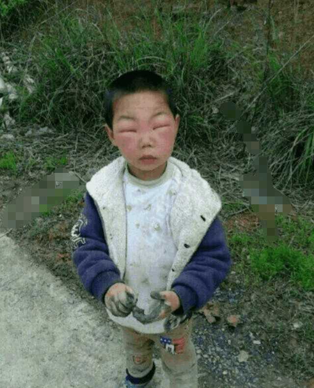 旺财|马蜂窝|马蜂_新浪新闻