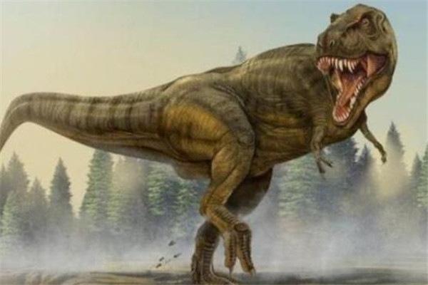 地球上10大最强的恐龙,霸王龙和特暴龙均上榜,你都认识吗?
