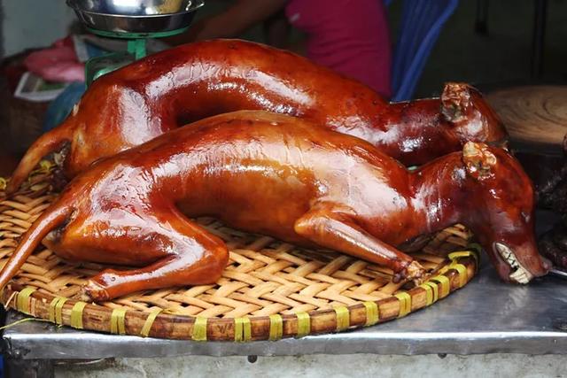 (8)烤狗肉(7)金枪鱼眼(6)榴莲(5)虾酱(4)毛鸭蛋(3)烤田鼠(2)羊血冻