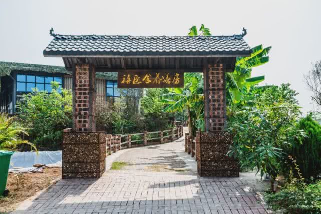 诗不在远方南宁市区距离最近最美的一个生态田园