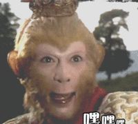 动图猴哥表情包来了喜欢猴哥的来收图我要上天和太阳肩并肩