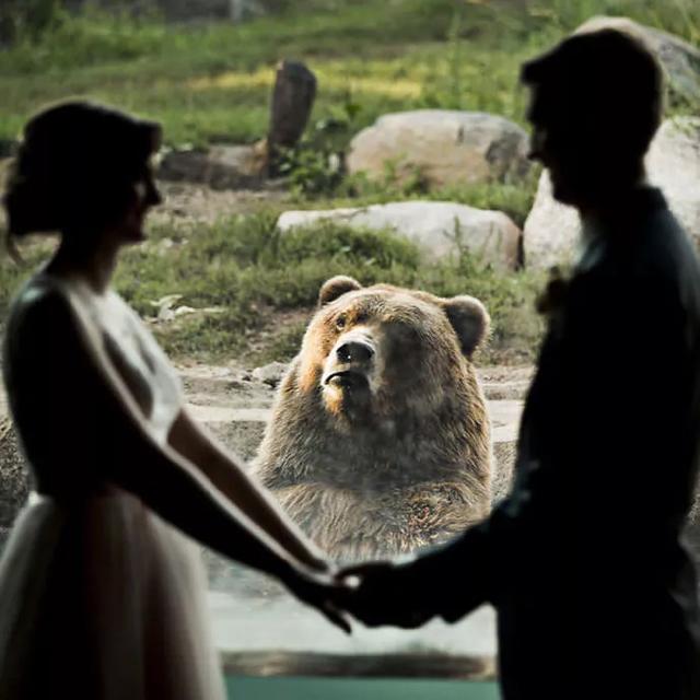 一对新人跑到动物园拍婚纱照，大秀恩爱时，单身熊不干了休闲区蓝鸢梦想 - Www.slyday.coM