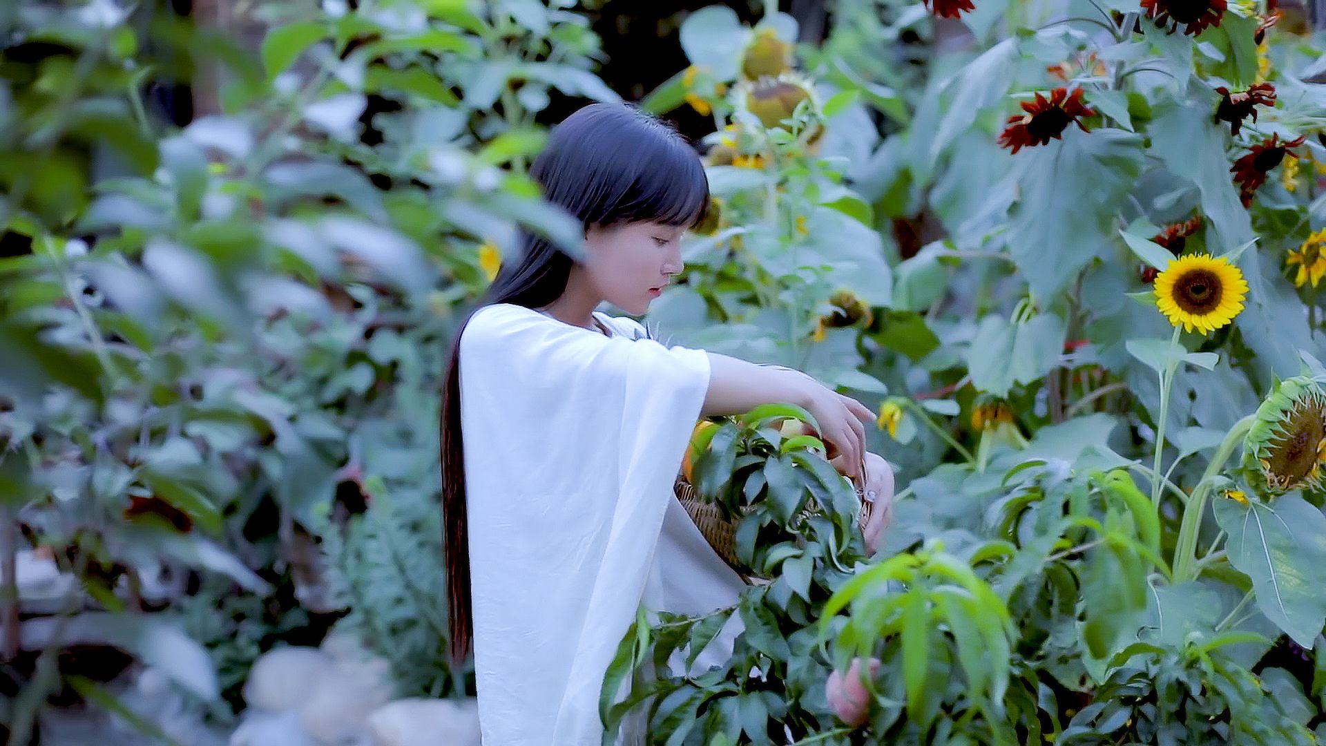 为什么中国男足应该向网红李子柒学习?