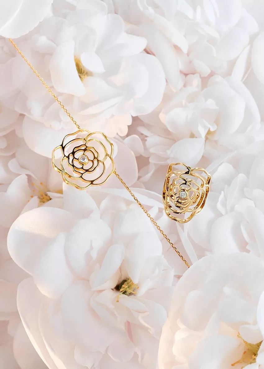 你圣诞送礼物么还是送香奈儿