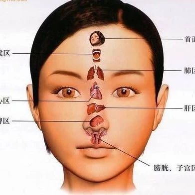 老中医告诉你 内脏里缺啥 你脸上就长啥