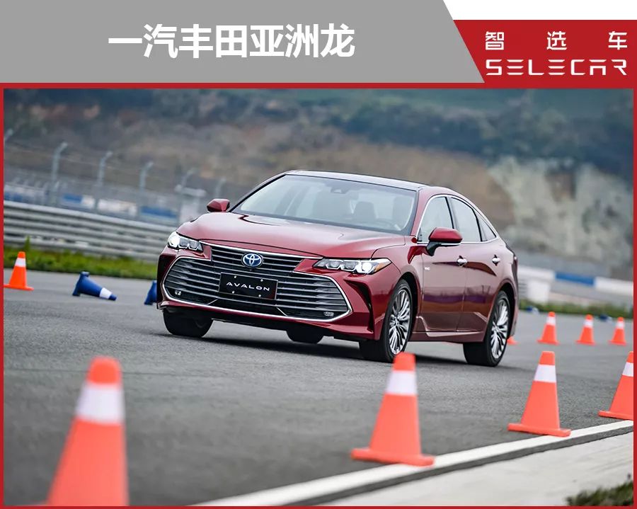 2款20万级热门合资中型车对比，新款大众迈腾对比丰田亚洲龙！