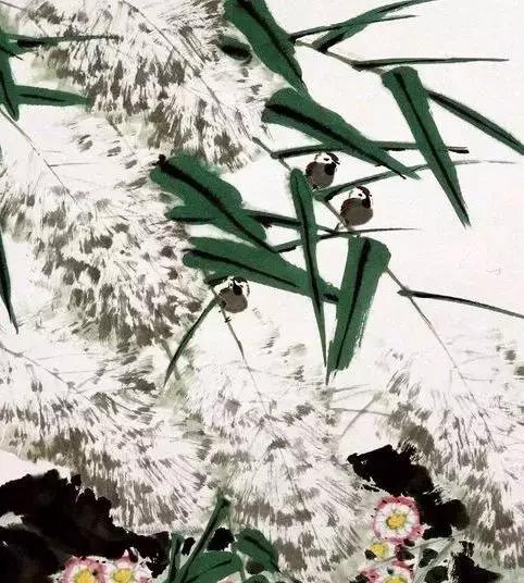 开花的芦苇这画太美啦