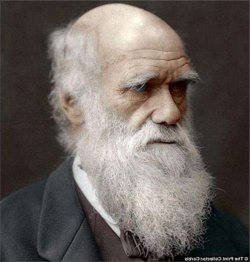 "非设计"生命,如此复杂的生物怎么会起源于惰性物质呢?