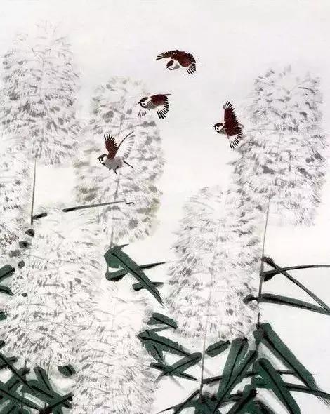开花的芦苇这画太美啦
