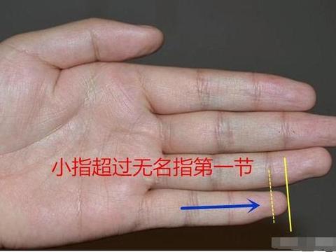 六指诡医全文免费阅读